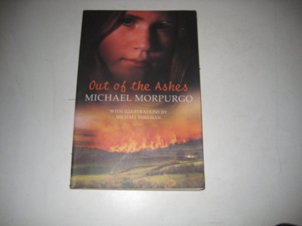 Out of the Ashes 9780330400176