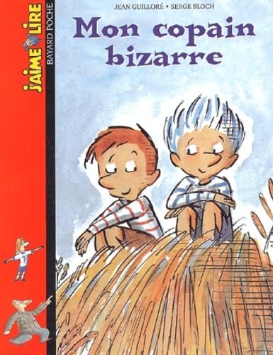 Mon copain bizarre 9782747007474