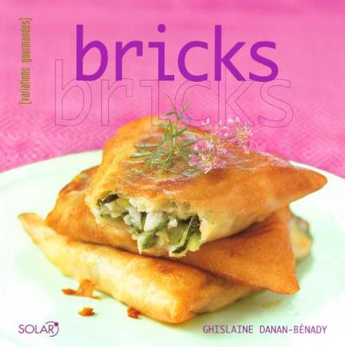 Bricks 9782263037535