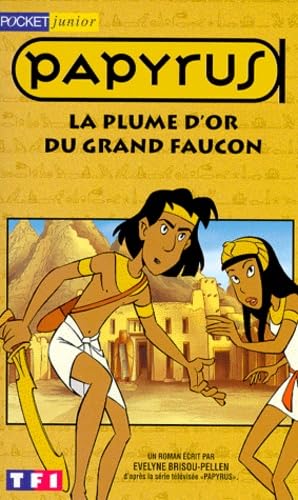 La plume d'or du grand faucon 9782266084581