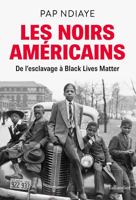 Les noirs américains: De l'esclavage à black lives matter 9791021050785