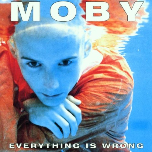 Everything Is Wrong 0724384997823