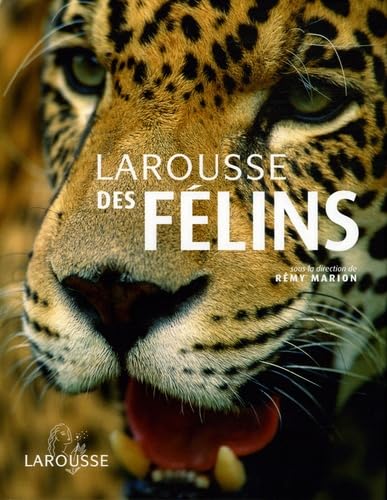 Larousse des félins 9782035604538