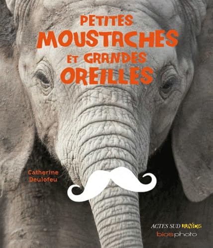 Petites moustaches et grandes oreilles 9782742792474
