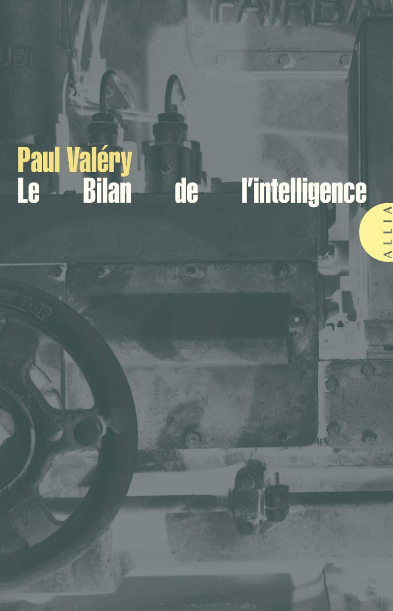 Le Bilan de l'intelligence 9782844853752