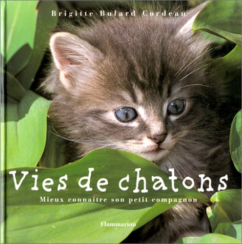 Vies de chatons : Mieux connaître son petit compagnon 9782082011167