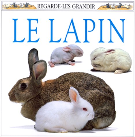 Le lapin 9780751349702