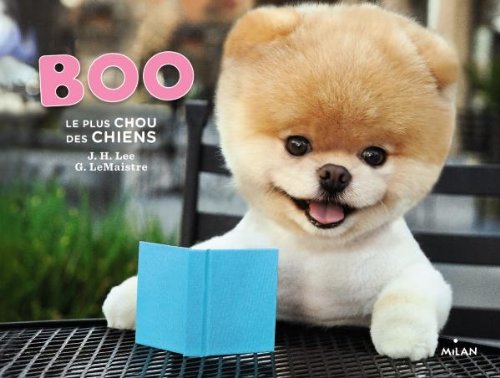 Boo: Le plus chou des chines 9782745958167