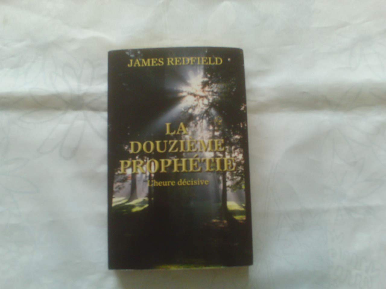 la douzieme prophetie - l'heure decisive 9782298075724