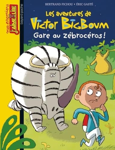 Gare aux zébrocéros ! 9782747049924