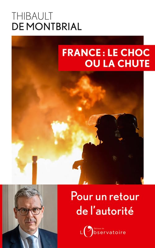 France : le choc ou la chute 9791032929360