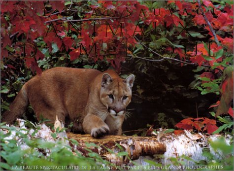 A l'état sauvage : Animaux d'Amérique 9783829031677