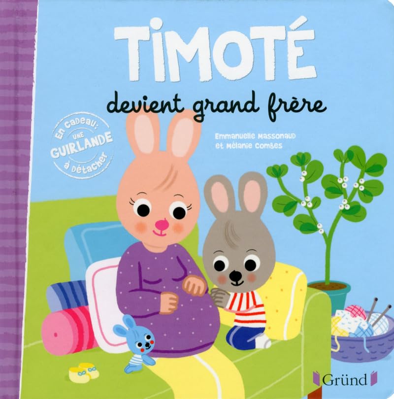 Timoté devient grand frère – Album jeunesse – À partir de 2 ans 9782324017940