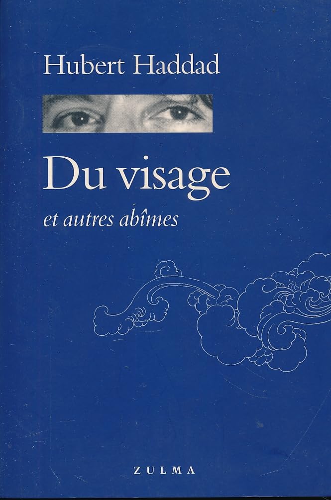 Du visage et autres abîmes 9782843040627