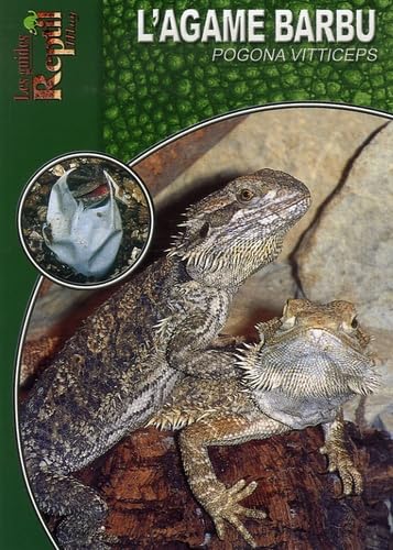 L'Agame Barbu: Pogona Vitticeps 9782915740325