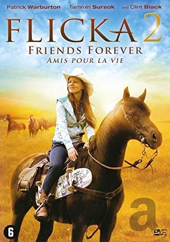 Flicka 2 8712626060079