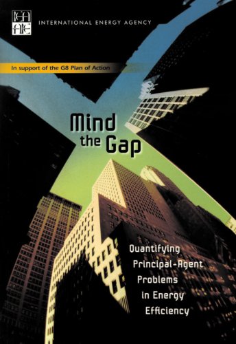 Mind the Gap: Quantifying Principal-Agent Problems in Energy Efficiency 9789264038844