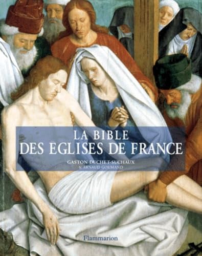 La Bible des églises de France 9782080125200
