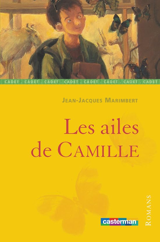 Les Ailes de Camille 9782203119376