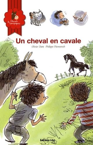 Cheval et Compagnie, Tome 3 : Un cheval en cavale (cheval, poney, sauvage, frère) 9782244442310