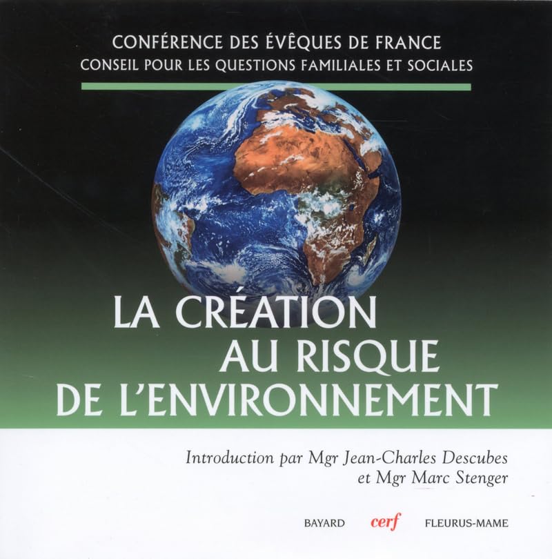 La Création au risque de l'environnement 9782204088497