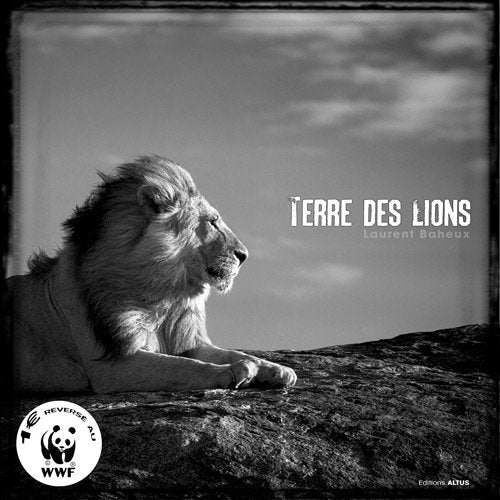 Terre des lions 9782952601139
