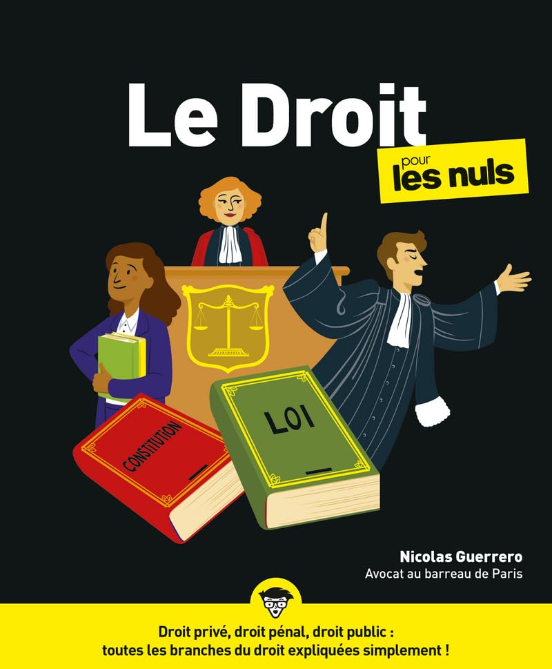 Le Droit Pour les Nuls NE 9782412056103