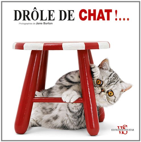 DROLE DE CHAT 9788861123601