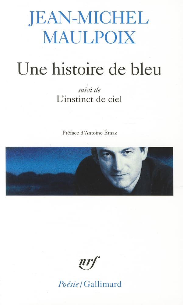 Une histoire de bleu/L'instinct de ciel 9782070308309