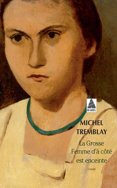 La grosse femme d'à coté est enceinte 9782742706372