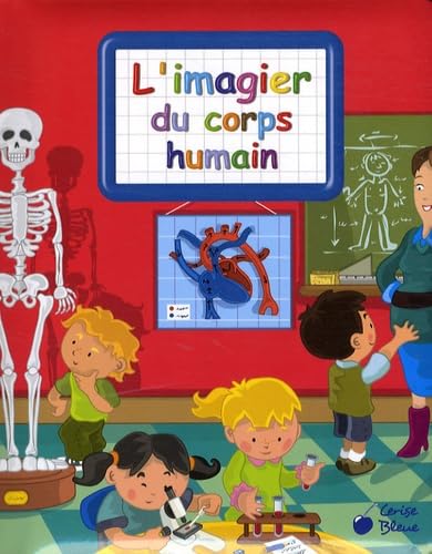 L'imagier du corps humain 9782758303527