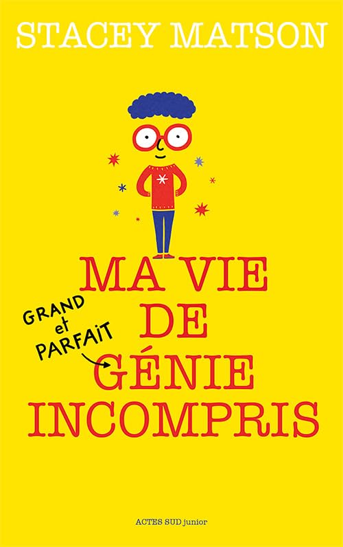 Ma vie de (grand et parfait) génie incompris 9782330069872
