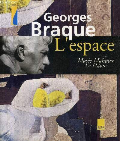 Georges Braque : L'Espace 9782876602472