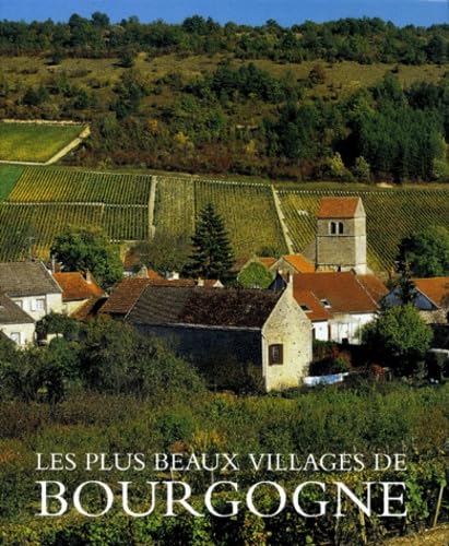 Les plus beaux villages de Bourgogne 9782884530552