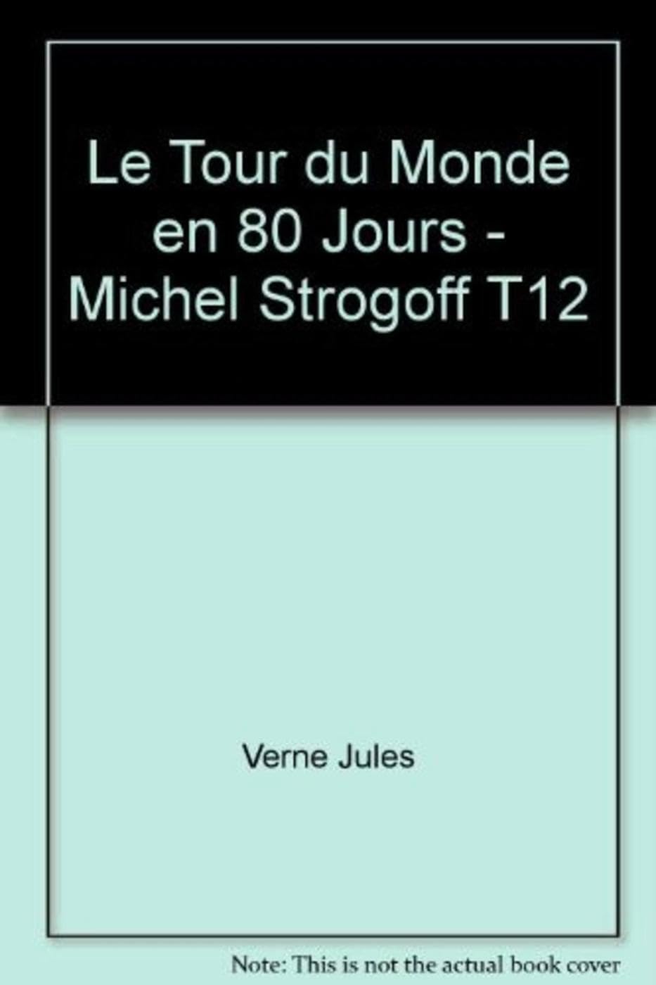 Le tour du monde en 80 jours - Michel Strogoff 9782810501311