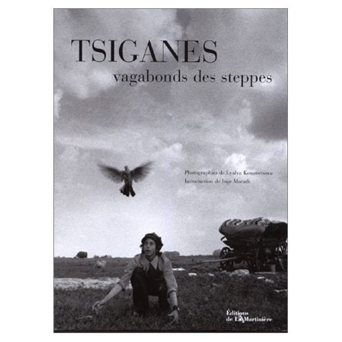 Tsiganes vagabonds des steppes 9782732424125