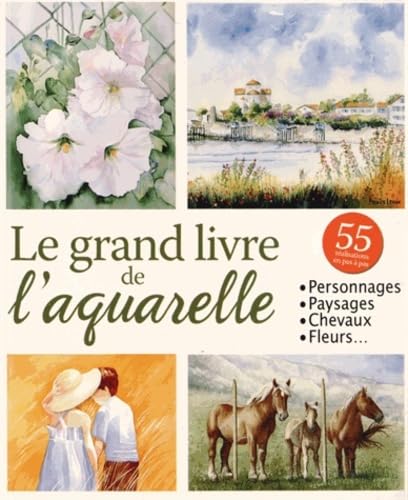 GRAND LIVRE DE L'AQUARELLE (LE)* 9782822601702