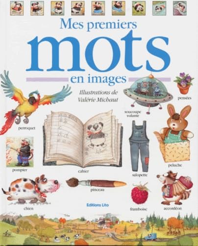 Mon grand livre de mots 9782244472010