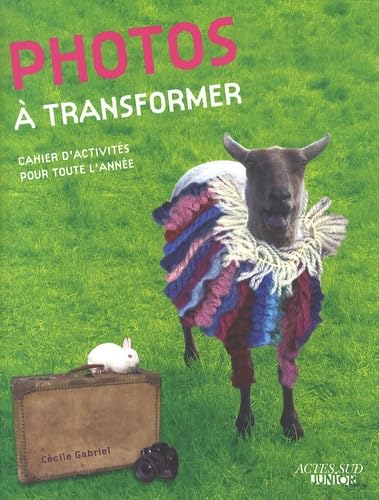 Photos à transformer: Cahier d'activités pour toute l'année 9782742796359