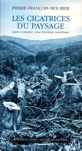 Les Cicatrices du paysage 9782742728206