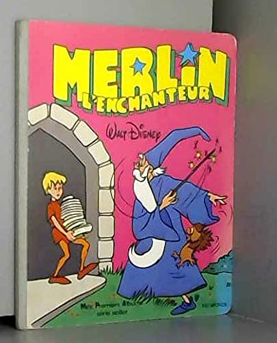 Merlin l'enchanteur 112897 9782733301395