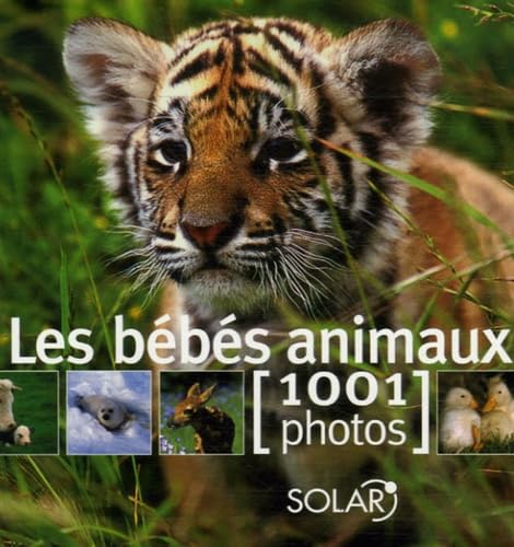 BEBES ANIMAUX EN 1001 PHOTOS 9782263041211