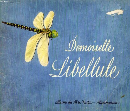 Demoiselle libellule 