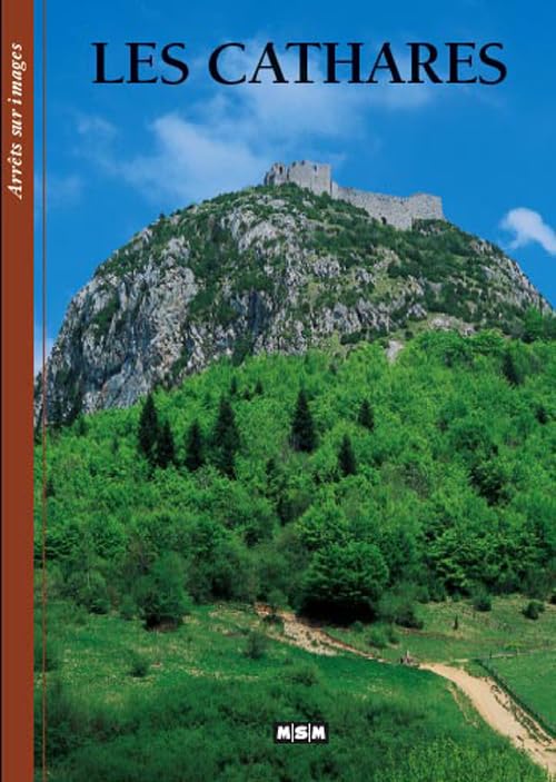 Les Cathares (Arrêts-sur-Images) 9782911515408