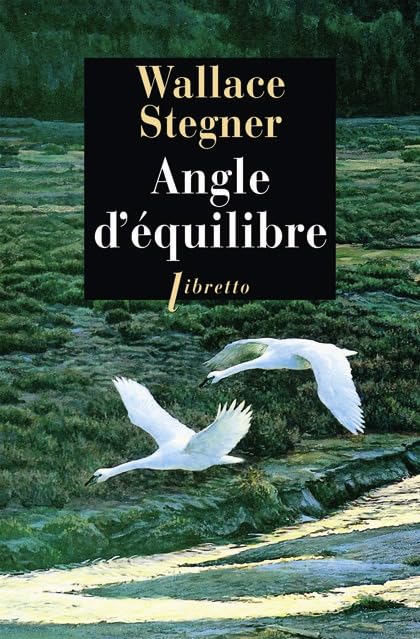 Angle d'équilibre 9782859409173