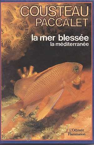 La mer blessée 9782082005548