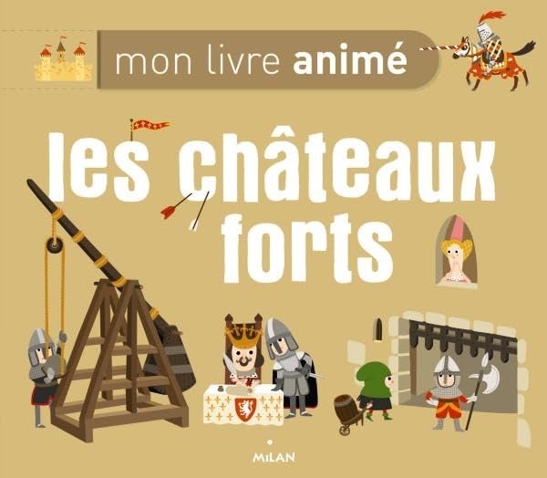 Les Châteaux forts 9782745952172
