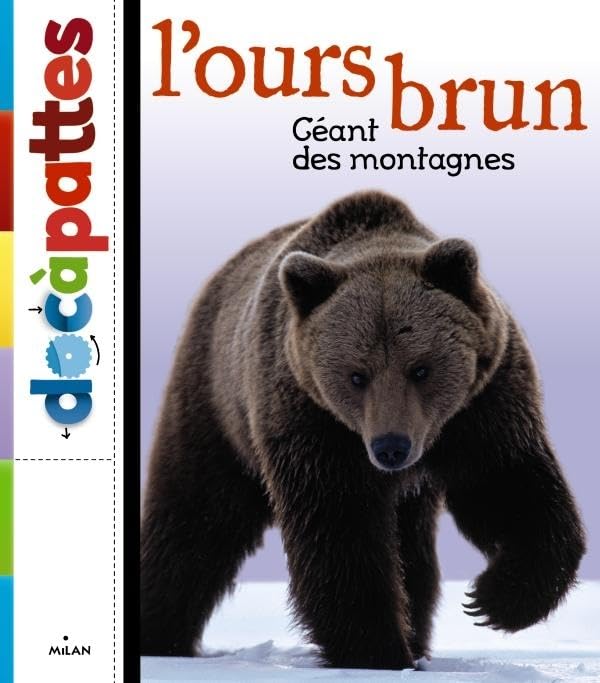 L'ours brun 9782745958273