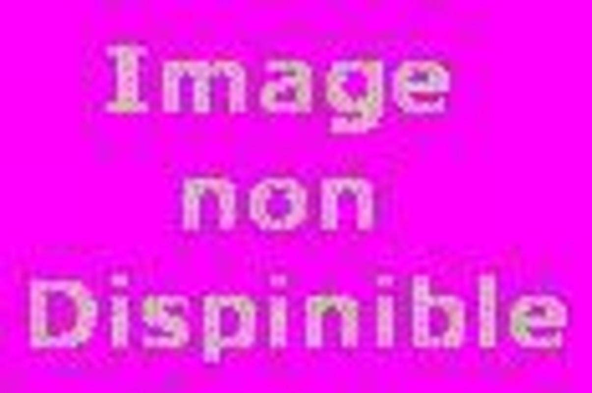 Luz ou le temps sauvage 9782864248798