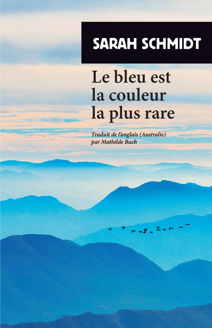 Le bleu est la couleur la plus rare 9782743671082